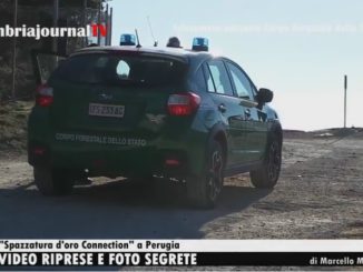 Il telegiornale dell'1 dicembre 2016