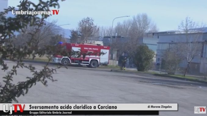 Il telegiornale dell'1 gennaio 2017