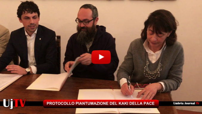 Kaki della Pace, firmato stamattina il protocollo d’intesa