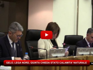 Coltivazioni a rischio causa gelo, Lega Nord, giunta chieda stato Calamità naturale