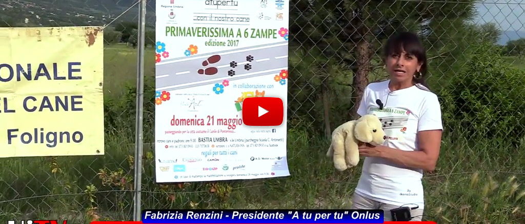 A tu per tu onlus, Primaverissima a 6 zampe, una passeggiata di cani e padroni