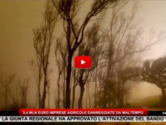 Programma sviluppo rurale, 5,4 milioni di euro per imprese agricole danneggiate da maltempo
