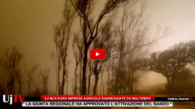 Programma sviluppo rurale, 5,4 milioni di euro per imprese agricole danneggiate da maltempo