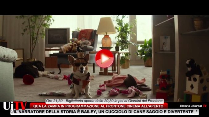 Qua la zampa a Perugia, al Frontone cinema all'aperto