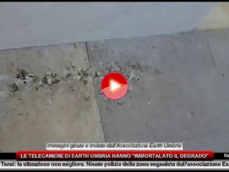Degrado cimitero, Earth Umbria presenta denuncia formale
