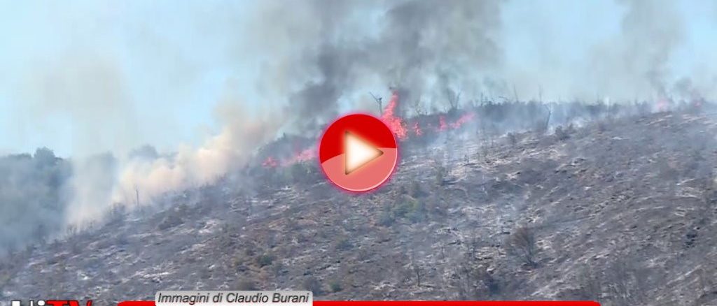 Montegualandro, incendio devasta bosco, divorati circa cinquanta ettari di verde