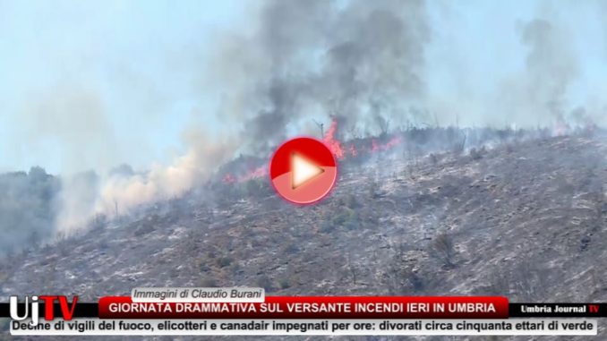 Montegualandro, incendio devasta bosco, divorati circa cinquanta ettari di verde