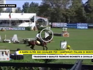 Equitazione, monta da Lavoro Narni campionati italiani e trofeo regioni