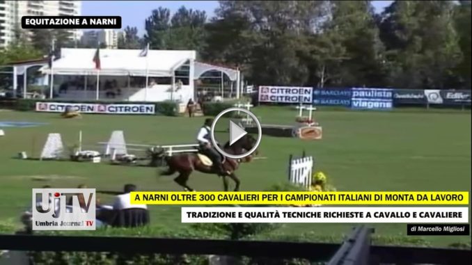 Equitazione, monta da Lavoro Narni campionati italiani e trofeo regioni