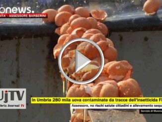 Sequestrate in Umbria uova con tracce di Fipronil