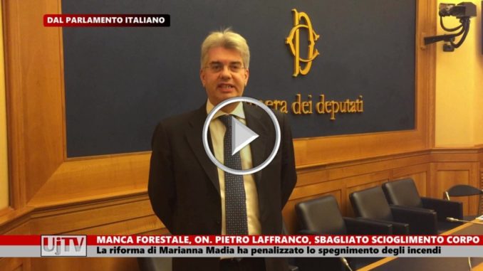 Scioglimento Corpo Forestale, Laffranco: in Umbria 221 ettari distrutti nel 2017