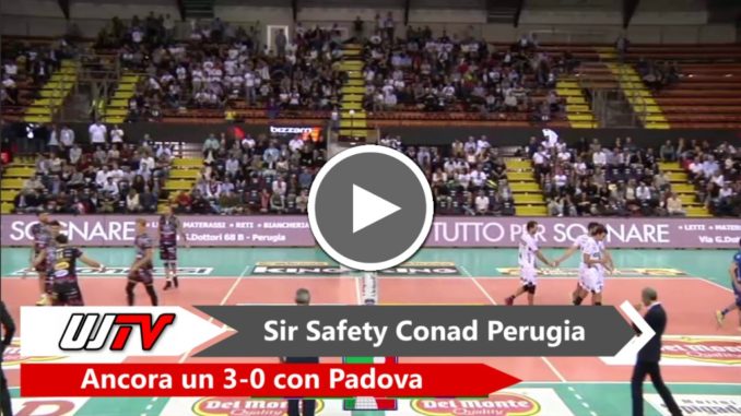 Sir Safety, ancora 3-0 con Padova! Staccato il biglietto per la Final Four