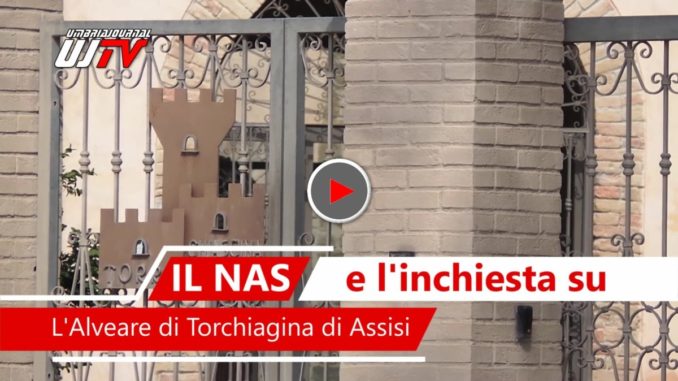 Undici davanti al Gip per inchiesta maltrattamenti a L'Alveare di Tochiagina