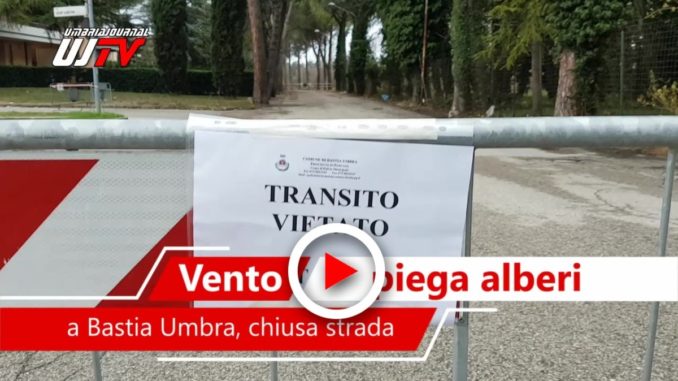 Il vento ha creato problemi anche a Bastia Umbra, alberi in crisi e strada chiusa, il video