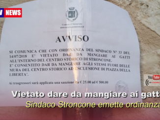 Niente mangiare ai gatti in centro, accade a Stroncone, ordinanza sindaco