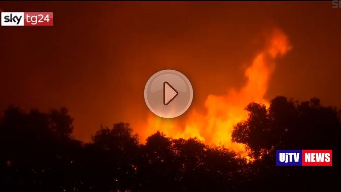 Grecia, incendi vicino ad Atene: 60 morti e oltre 550 feriti