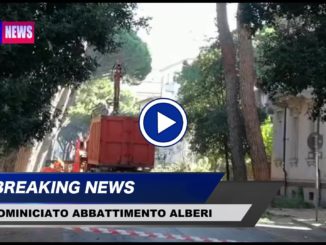 Cominciato abbattimento alberi a Terni, sono quelli di via Lungonera