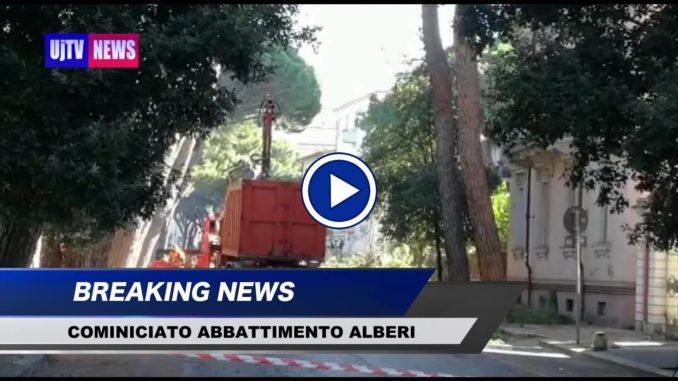 Cominciato abbattimento alberi a Terni, sono quelli di via Lungonera