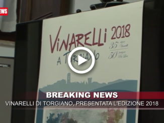 Vinarelli 2018, ecco la 35esima edizione, dall’11 al 20 agosto 2018