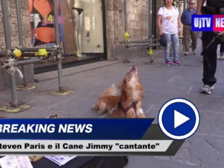 Il suo padrone suona e canta per le vie di Perugia, guardate nel video cosa fa il cane