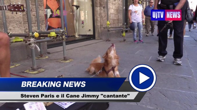 Il suo padrone suona e canta per le vie di Perugia, guardate nel video cosa fa il cane