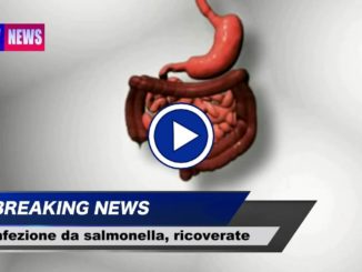 Intossicazione a Terni, confermata infezione da salmonella