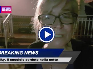 Video racconto di Niky cucciolo gigante perso nella notte, storia a lieto fine 