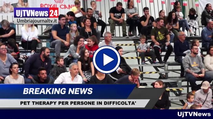 Pet Therapy, cani e gatti in ospedale e residenze anziani e disabili, il video