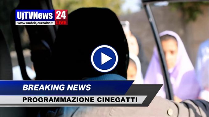 Cinegatti, programmazione dal 29 novembre al 5 dicembre