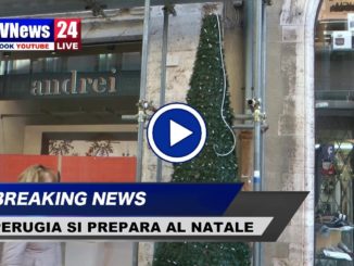 Perugia si prepara al Natale, il video degli alberelli in centro