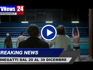 Cinegatti, film in programmazione dal 20 al 30 dicembre