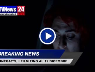 Cinegatti, programmazione a Perugia dal 6 al 12 dicembre 2018