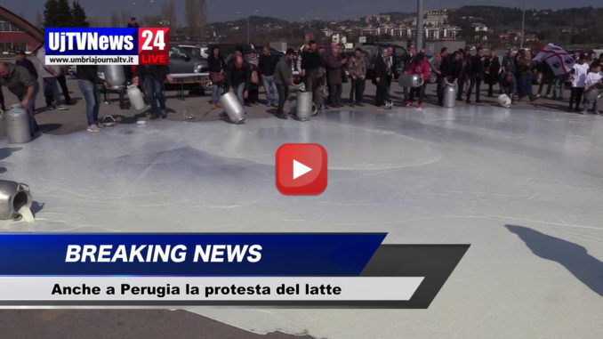 Si allarga anche all’Umbria la lotta sul prezzo del latte, video