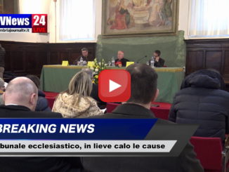 Cause Tribunale ecclesiastico interdiocesano umbro, lieve calo