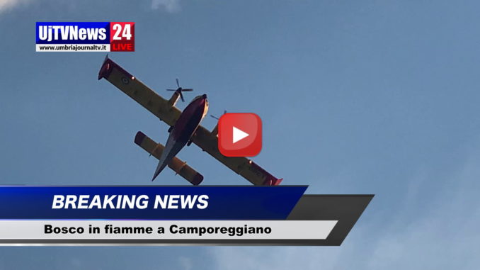 Incendio bosco a Camporeggiano frazione di Gubbio