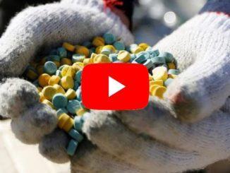 Nazioni Unite e osservatorio droghe attenti alla cannabis: è più pericolosa