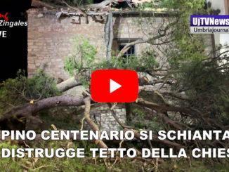 Tragedia sfiorata, pino centenario si schianta sulla chiesa e distrugge tetto