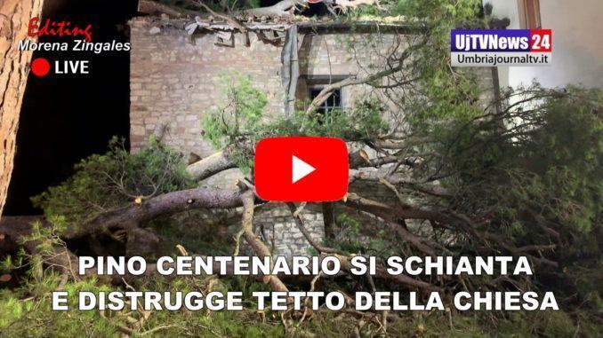 Tragedia sfiorata, pino centenario si schianta sulla chiesa e distrugge tetto