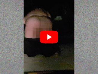 Esibizioni e sesso, si spoglia in parco perugino ? Video