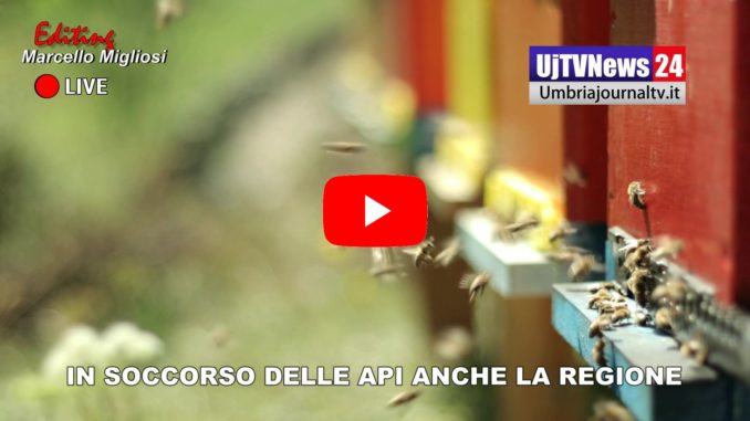 Apicoltura, oltre 180mila euro di risorse pubbliche per il 2020