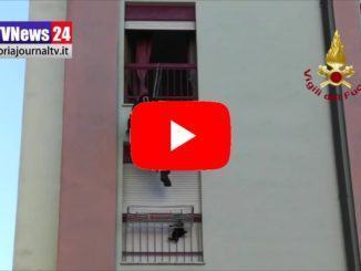 Gattino imprudente precipita dal 6° piano video salvato dai vigili del fuoco