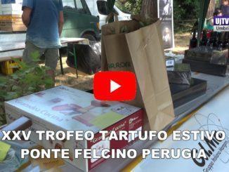 Tartufo Estivo, una giornata insieme ai nostri amici a quattro zampe