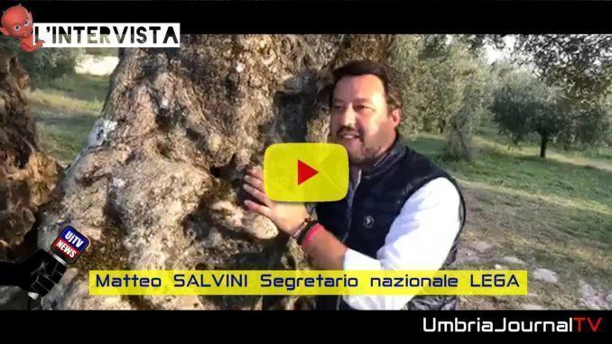 Olivo di Sant’Emiliano a Trevi è il più antico del Mondo, Matteo Salvini