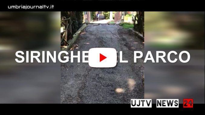 Simona e Lorenzo ci guidano nel parco del buco a Perugia, zona Fontivegge