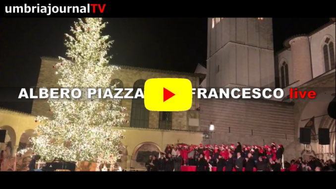 Ecco l'albero di Natale acceso in piazza san Francesco ad Assisi