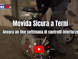 Movida Sicura a Terni, sequestrato hashish fiutato dal cane poliziotto