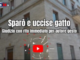 Spara e uccide un gatto, giudizio con rito immediato per presunto autore