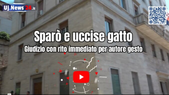 Spara e uccide un gatto, giudizio con rito immediato per presunto autore