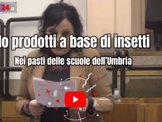 Inserimento insetti in pasti scolastici, che schifo, mozione Puletti