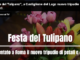 “Festa del Tulipano”, a Castiglione nuovo tripudio di petali e colori tra le acque del Trasimeno e de “I Borghi più belli d’Italia”